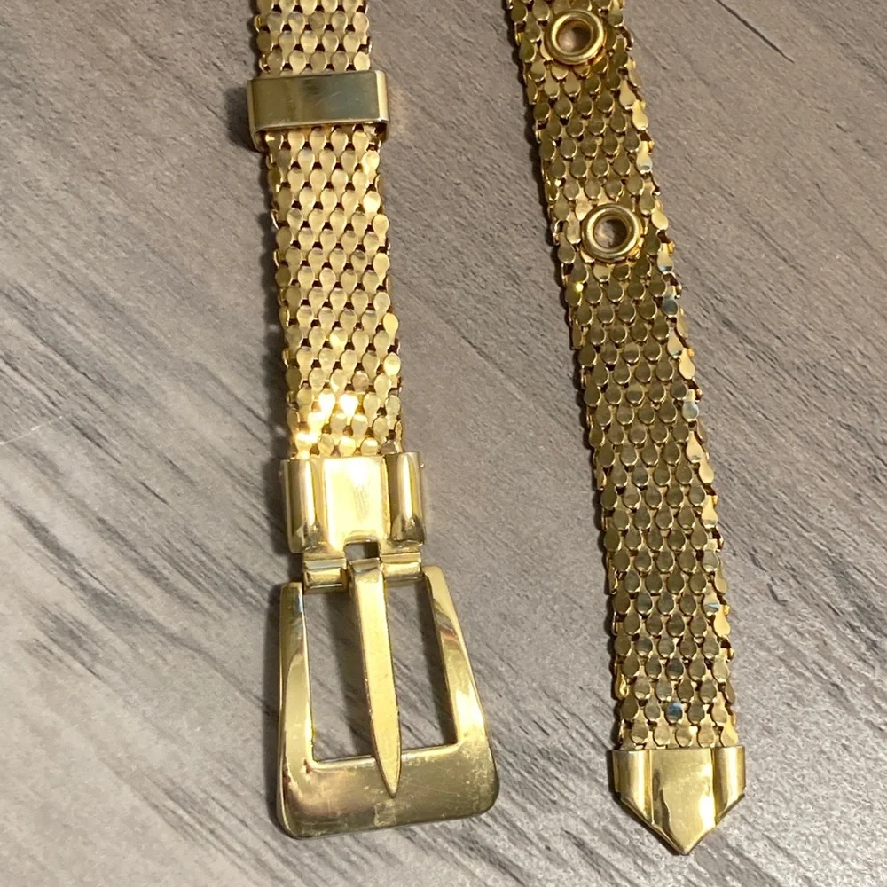 Vintage Retro Glam Serpent Scale Gold Mesh Belt
